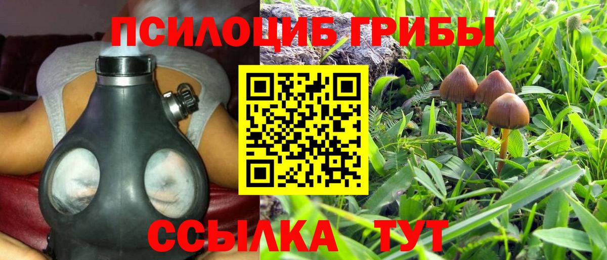 Воскресенск  Псилоцибиновые грибы Psilocybe  Галлюциногенные грибы мухоморы  Вход с VPN 